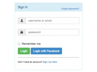 Login & Signup forms in panel