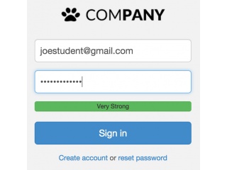 Password Strength Meter